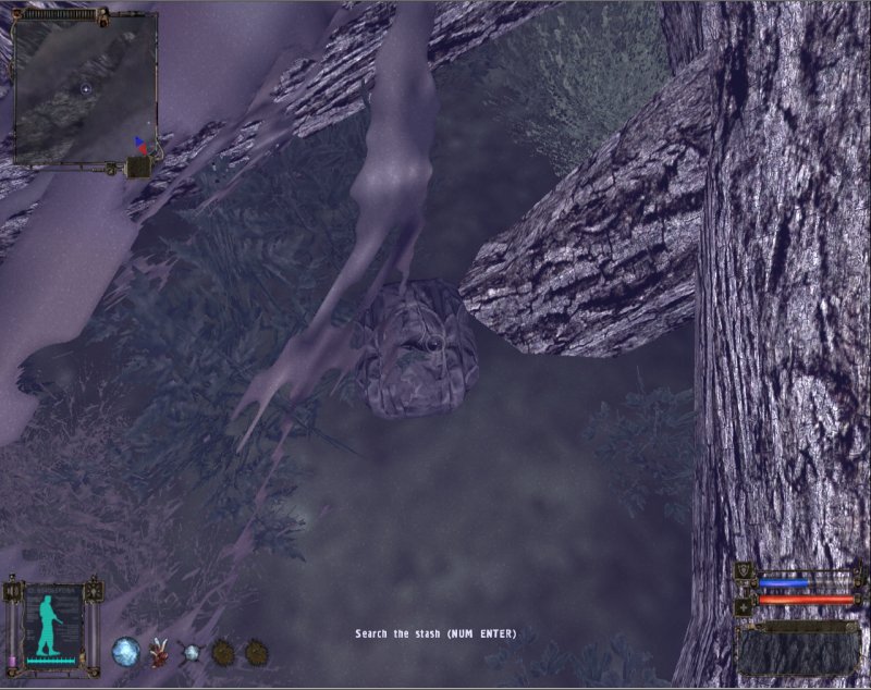 Stash: Backpack under tree (Click image or link to go back)