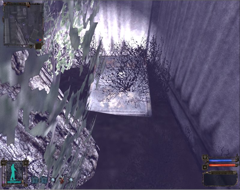 Stash: Secret stash behind the tree (Click image or link to go back)